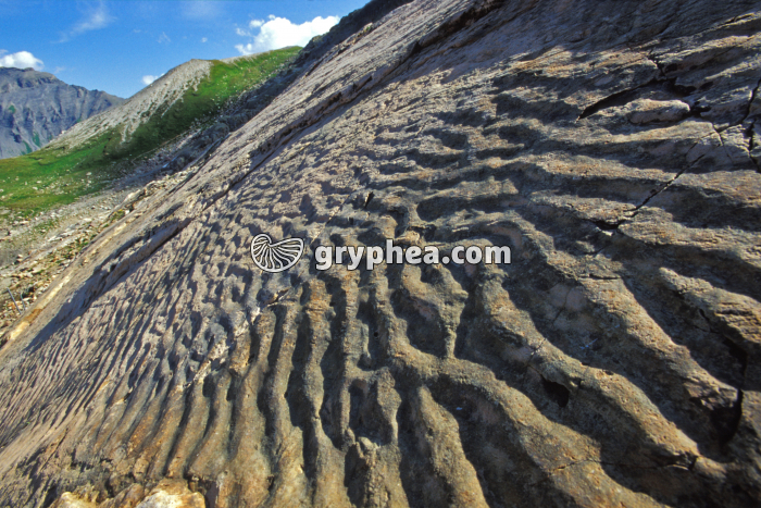 Plage Emosson - gryphea.org